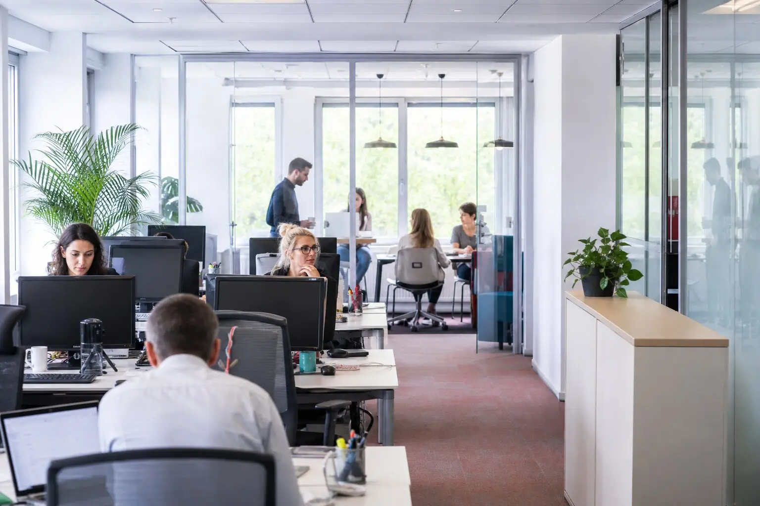 Open space et locaux tertiaires avec vitrages et circulations communes